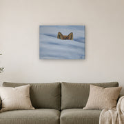 I am not lost, only hiding canvas print by Artis Berkmanis, fox ears rising from soft blue-white snow. Shown at 61 x 46 cm above a sofa in a Scandinavian living room.