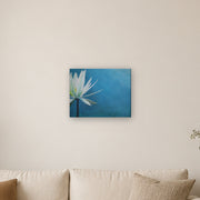 I am canvas print by Artis Berkmanis, a white water lily on a deep blue background. Shown at 51 x 41 cm above a sofa in a Scandinavian living room.