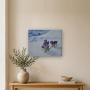 No one said it's not allowed canvas print by Artis Berkmanis, purple crocuses pushing up through white snow. Shown at 50 x 40 cm in a Scandinavian hallway.