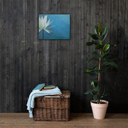 I am canvas print by Artis Berkmanis on a dark wood wall beside a plant and a basket