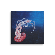 Beauty that must not be touched canvas print by Artis Berkmanis – a pink and white jellyfish drifting in deep blue water