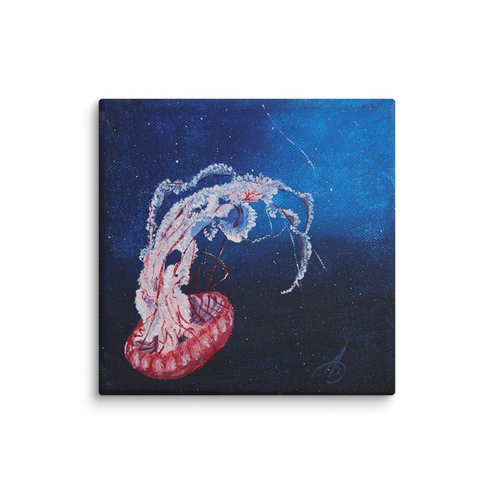 Beauty that must not be touched canvas print by Artis Berkmanis – a pink and white jellyfish drifting in deep blue water