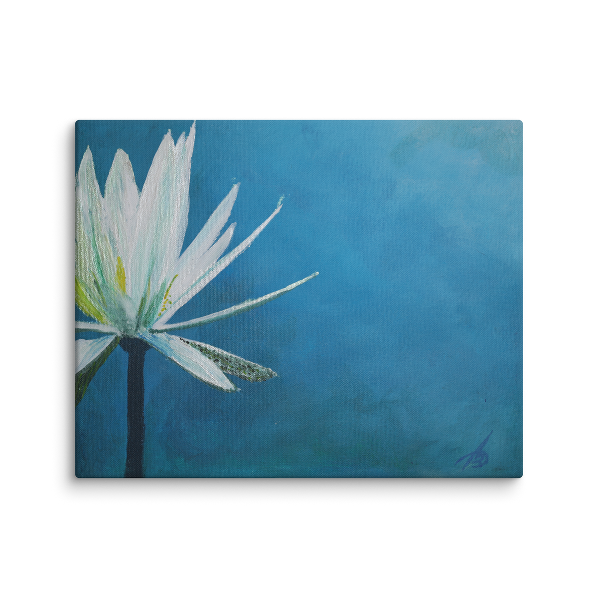 I am canvas print by Artis Berkmanis – white water lily on a deep blue background