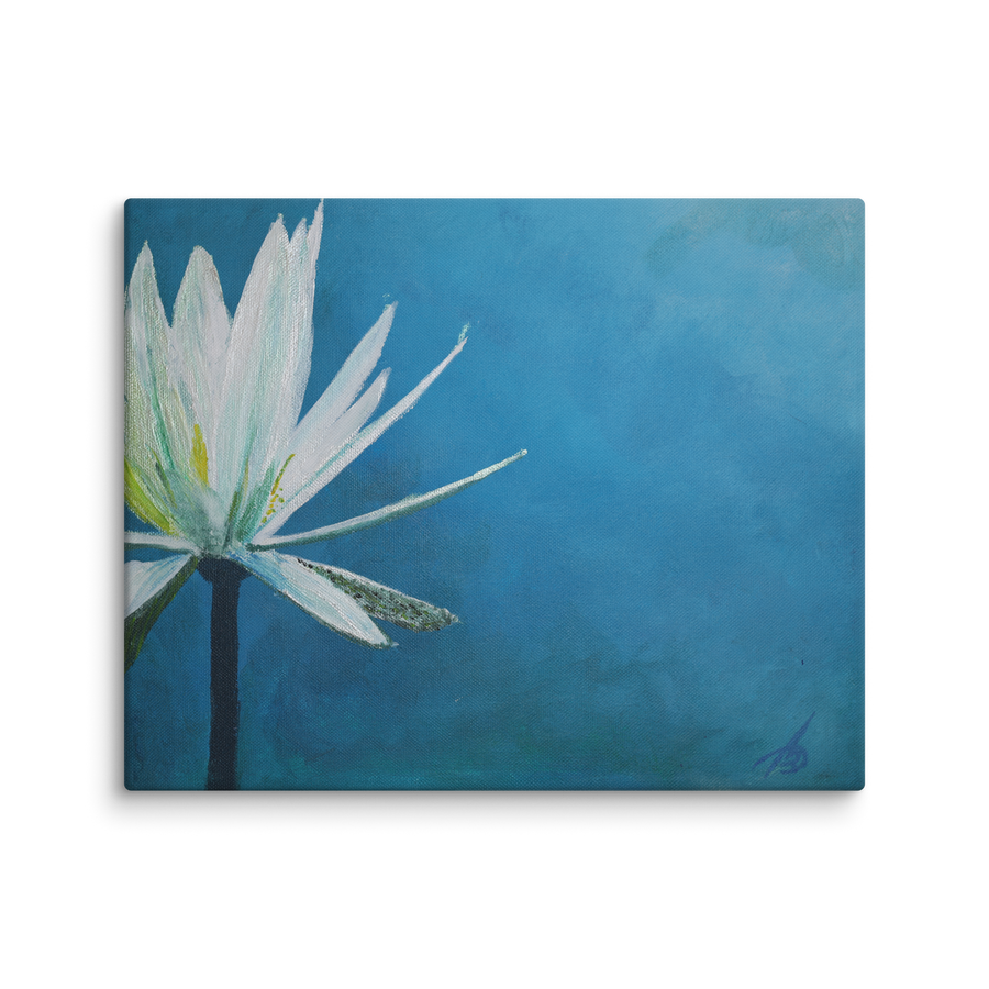 I am canvas print by Artis Berkmanis – white water lily on a deep blue background