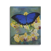 Night settled on the flowers canvas print by Artis Berkmanis – a large dark blue butterfly resting on pale yellow orchids against a soft green background
