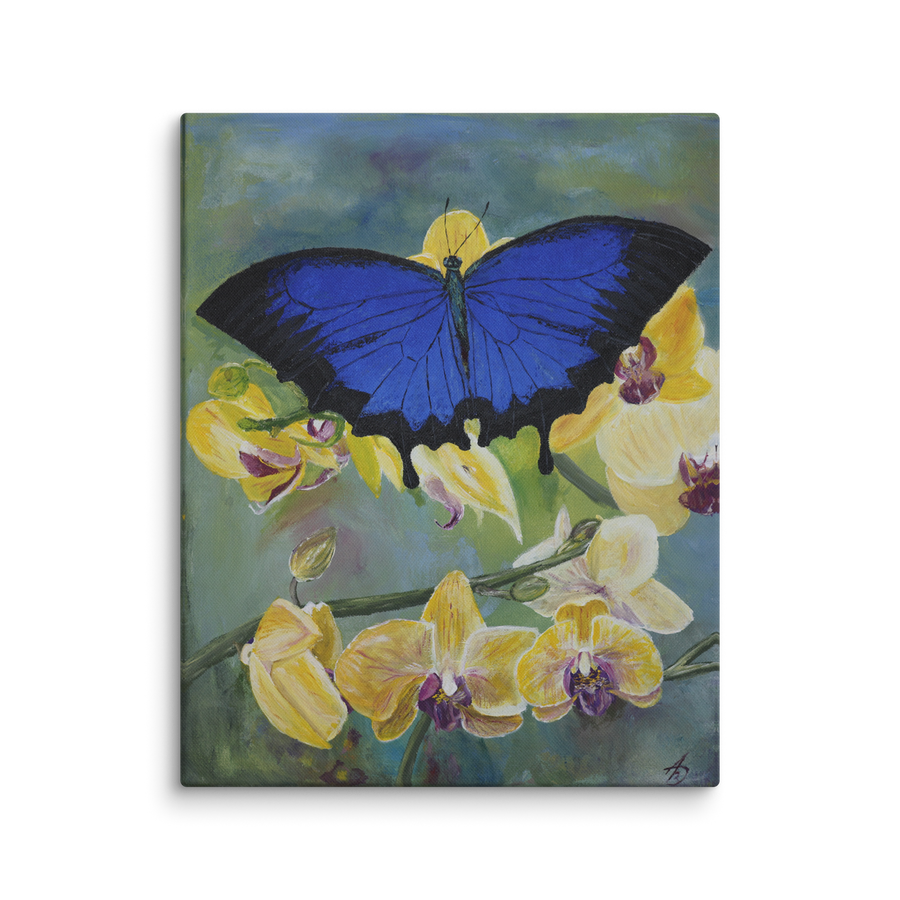 Night settled on the flowers canvas print by Artis Berkmanis – a large dark blue butterfly resting on pale yellow orchids against a soft green background