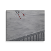 Oh crap! canvas print by Artis Berkmanis – the red feet of a seagull flying off above a grey railing and wall