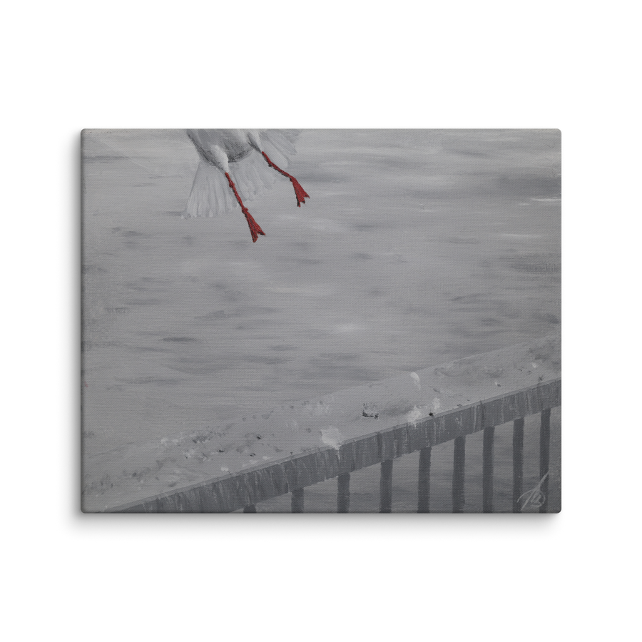 Oh crap! canvas print by Artis Berkmanis – the red feet of a seagull flying off above a grey railing and wall