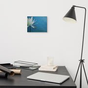 I am canvas print by Artis Berkmanis on a light wall above a desk with a lamp and books