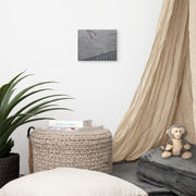 Oh crap! canvas print by Artis Berkmanis on a light wall above a wicker basket, beside a linen curtain and plants