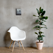I love you, Dad! canvas print by Artis Berkmanis – childlike figures on a rain-covered window, a lone father figure beyond, muted colours. Shown on a grey wall beside a white chair and a potted plant.
