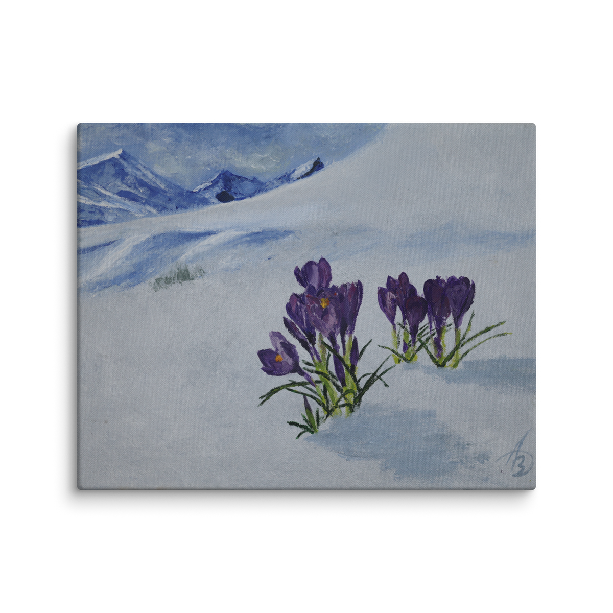 No one said it's not allowed canvas print by Artis Berkmanis – crocus in snow art, purple crocuses pushing up through white snow